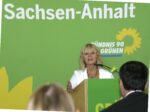 IMG_2480_bearb
