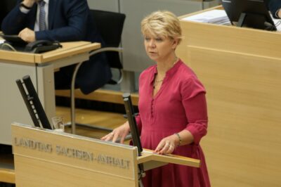 Conny Lüddemann spricht im Plenum