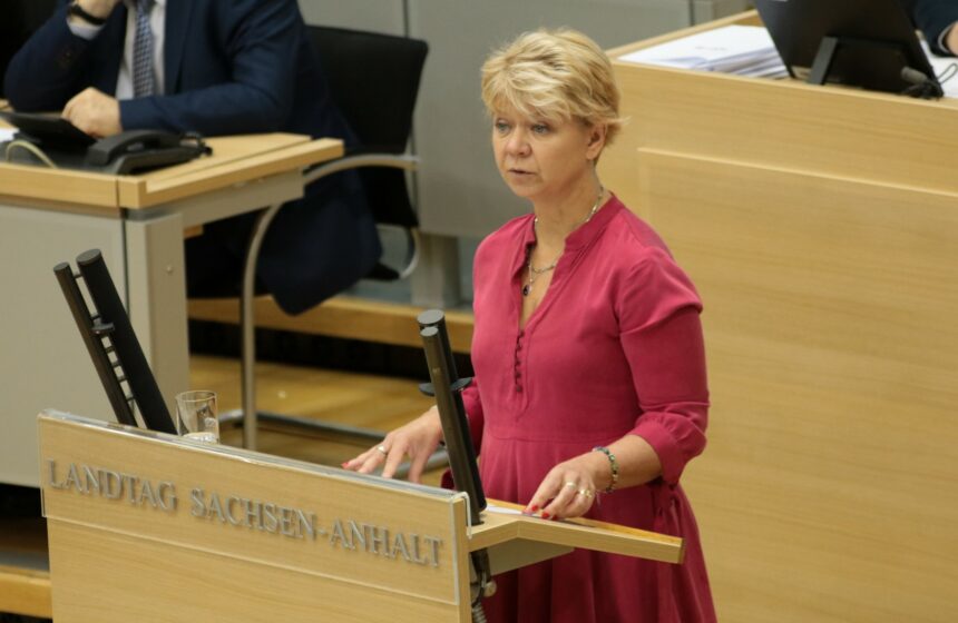 Conny Lüddemann spricht im Plenum