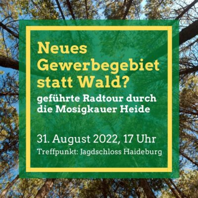 Gelb Foto Hintergrund Picknick Einladung Instagram-Post-3