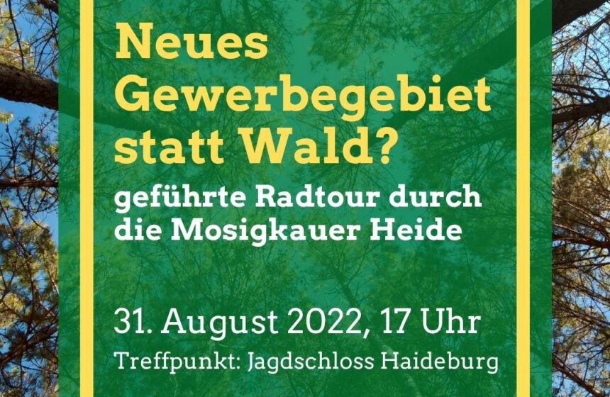 Gelb Foto Hintergrund Picknick Einladung Instagram-Post-3